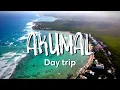 AKUMAL MEXICO Best Things To Do In Akumal For A Day Trip From Playa