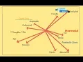 Perceptual mapping
