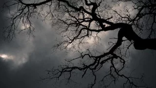 Jour Noir L Anonyme A Suivre Nuit Blanche 2016 KalamityRecord 