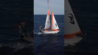 Tessie now in Sailaway III! #sailing