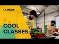 Cool Classes at UC Davis