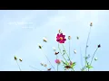 เปรี้ยวใจ (acoustic ver.) : นิโคล เทริโอ