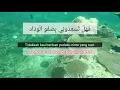 Salamun salam by unic ( lirik dan terjemahan)