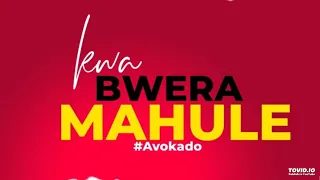 Avokado - Kwa Bwera Mahule