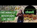Download Lagu CHAVIL- Monkey see, monkey do!