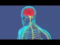 Deep Nervous System Reset, 396 Hz + 4 Hz, Binaural Beats, Restore Body Healing Energy