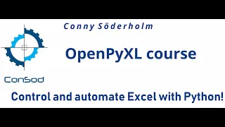 Control Excel with Python OpenPyXL course