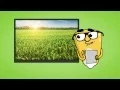 Lagu The Life Cycle of GMO Seeds Explained | GMO Answers