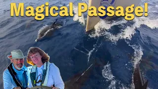 Cooking on Passage: Sailing from the Canary Islands to Cape Verde | Ep 260