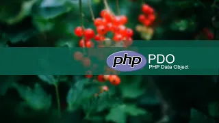 How To Use PDO PHP Data Objects to Integrate MySql Database PHP Object Oriented Programming