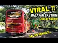 Download Lagu REKOR BALAPAN PALING EDAN !! Bus sugeng rahayu ngamuk brutal kejar kejaran di lingkar nagreg