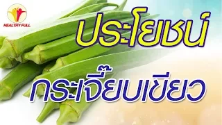 กระเจี๊ยบเขียวช่วยรักษาโรคกระเพาะอาหารได้อย่างไร  และมีสารอะไรที่ทำหน้าที่เคลือบแผลในกระเพาะ?