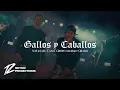 Gallos y Caballos (Audio) Natanael Cano, Grupo Maximo Grado (Corridos 2025)