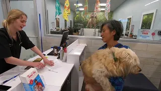 AFFORDABLE GROOMING AND GREAT SERVICE AT PETSMART STORES IN CANADA GREAT STAFFS AND SERVICE
