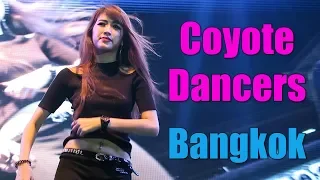 bangkok thailand more coyote dancers at the bangkok international motor show 