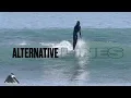 San Onofre s Log Lords Radiate Style at Old Man s Alternative Lines