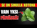 Download Lagu IHME! Yksi lehti TUHOAA diabeteksen, huonon kolesterolin ja VATSARASVAN! | Ikäihmisten terveys