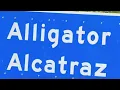 Alligator Alcatraz s days could be numbered according to a New York Times report