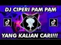 Download Lagu DJ CIPERI PAM PAM BY DJ SOPAN VIRAL TIKTOK TERBARU 2022