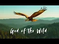 Download Lagu God of the Wild (Official Music Video) – Country Gospel Worship