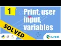 Bite Solution 1 Print user input variables Python mystery game