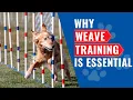 Weave Pole Training Made Easy Dog Agility Training