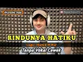 Download Lagu Rindunya hatiku - karaoke duet tanpa vokal cewek dangdut koplo