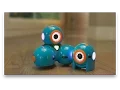 Meet Dash Dot Robots for kids ages 6 Wonder Workshop
