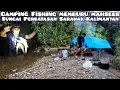 Download Lagu Camping Fishing Memburu Mahseer di Sungai Perbatasan Sarawak-Kalimantan 3 Hari 2 Malam Part 2
