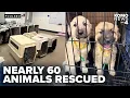 Nearly 60 animals rescued from deplorable living conditions at Poulsbo home