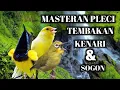 Download Lagu MASTERAN TERAPI PLECI NEMBAK KENARI DAN SOGON-MUDAH DIINGAT COCOK UNTUK PLECI BAHAN