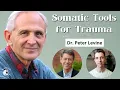 Healing After Trauma with Dr Peter Levine Being Well