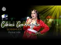 Download Lagu CIKINI GONDANGDIA - ELSA AMANDA (COVER) DUTA BOSS MUDA || BOSS MUDA PRODUCTION