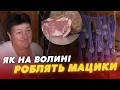 Lagu МАЦИК! 😍 Як готують поліський делікатес на Волині?
