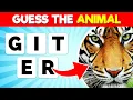 Guess the Animal by its Scrambled Name Scrambled Letters Animal Names