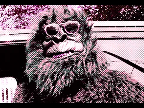 But Did You Notice The Gorilla? | Official Trailer