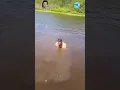 Download Lagu 🐊 Close Encounter: Man's Shocking Crocodile Experience in the River! 😱