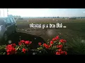 Download Lagu Story WA alam Polandia || Dere - Kota
