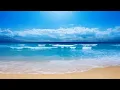 Software Testing Tutorial For Beginners Manual Automation Testing Selenium Training Edureka