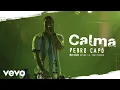 Download Lagu Pedro Capó - Calma (En Vivo Desde La Trastienda)