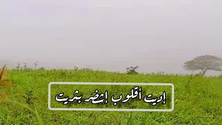 دبرارت أبو زايد المعشني مقطع قصير لحالات الواتس دندنها