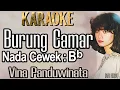 Download Lagu Burung Camar (Karaoke) Vina Panduwinata, Nada Cewek Bb