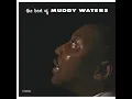 Honey Bee - Muddy Waters