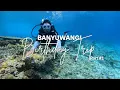 Download Lagu banyuwangi birthday trip: my first diving experience 🌊🐠