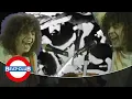 Download Lagu T. Rex - Jewel (1971)
