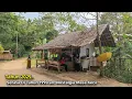 Lagu Warung Sederhana Seperti Zaman Dulu Terpencil di Alam Pedesaan Jawa Barat Yang Begitu Menakjubkan
