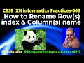 HOW TO RENAME THE COLUMNS IN PANDAS DATAFRAME RENAME ROW NAMES PANDAS CHANGE COLUMN LABEL PANDAS