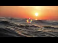 Moglii ft. NOVAA - Tonic Water (Snocker Cot Remix)..