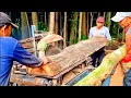 Lagu Pekerjaan kayu penuh Resiko menebang pohon - gergaji mesin serkel rakitan 