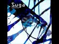 Bastion - Suga (Mars & Vans Remix Full Club edit)